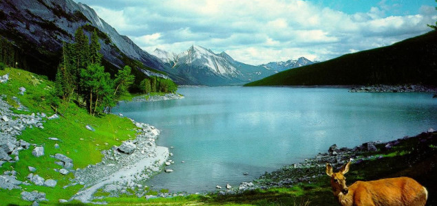 Where Can I Find Cheap Hotels Where Can I Find Cheap Hotels